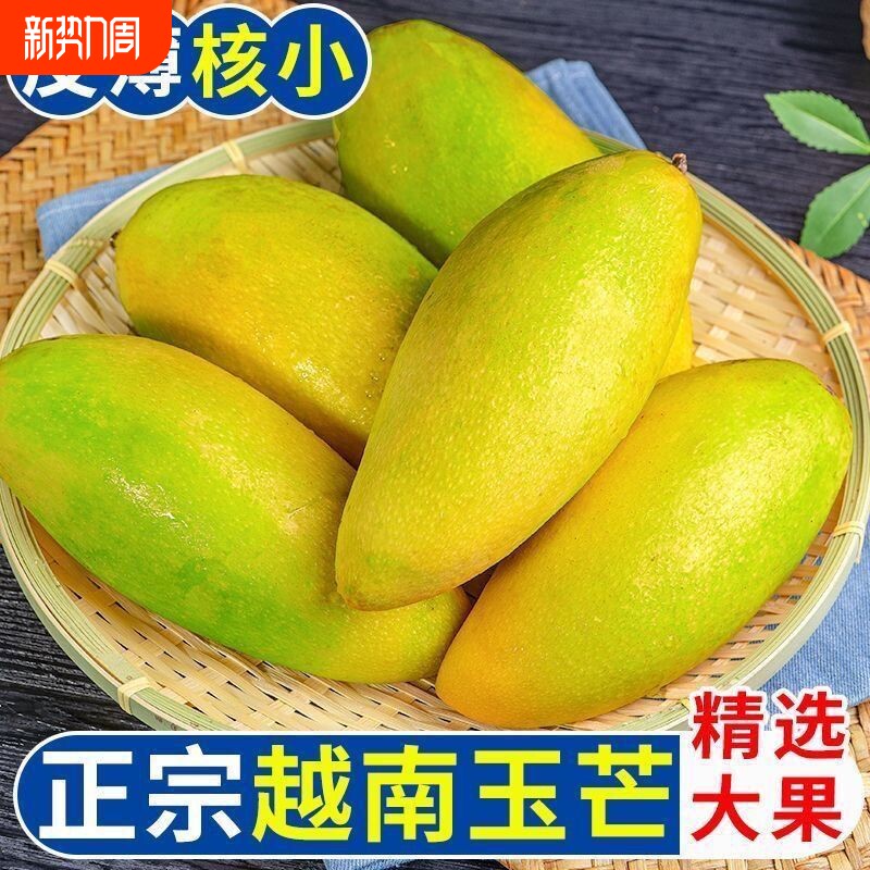 越南芒果玉芒精品9斤5斤孕妇水果整箱芒果新鲜当季热带水果直发