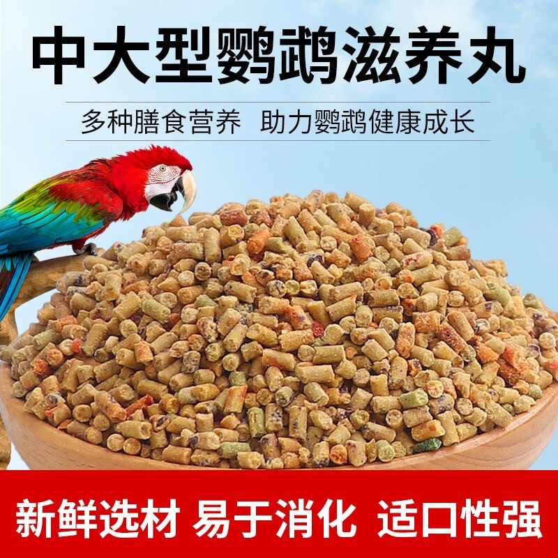 灰鹦鹉饲料金太阳虎皮玄凤小太阳和尚金刚鸟粮滋养丸鹦鹉博士奶粉图片
