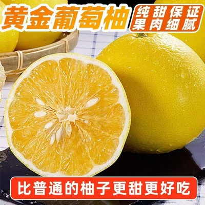 福建黄金葡萄柚子新鲜水果生鲜汁包邮当季黄心蜜柚整箱甜西柚