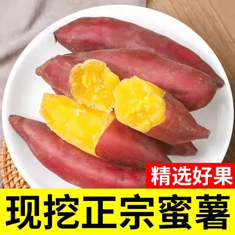 开封沙地蜜薯板栗红薯现挖现发地瓜山芋超甜板栗番薯粉糯软糯香甜