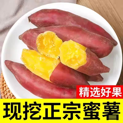 开封沙地蜜薯板栗红薯现挖现发地瓜山芋超甜板栗番薯粉糯软糯香甜