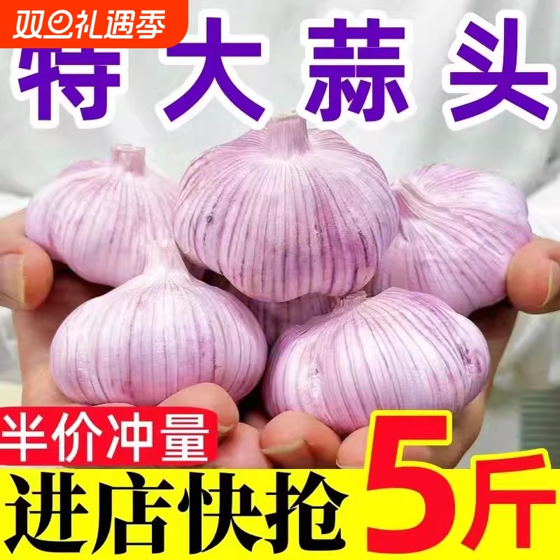 河南大蒜干蒜头1斤/3斤5斤紫白皮新蒜干大蒜农家鲜大蒜头批发辛辣