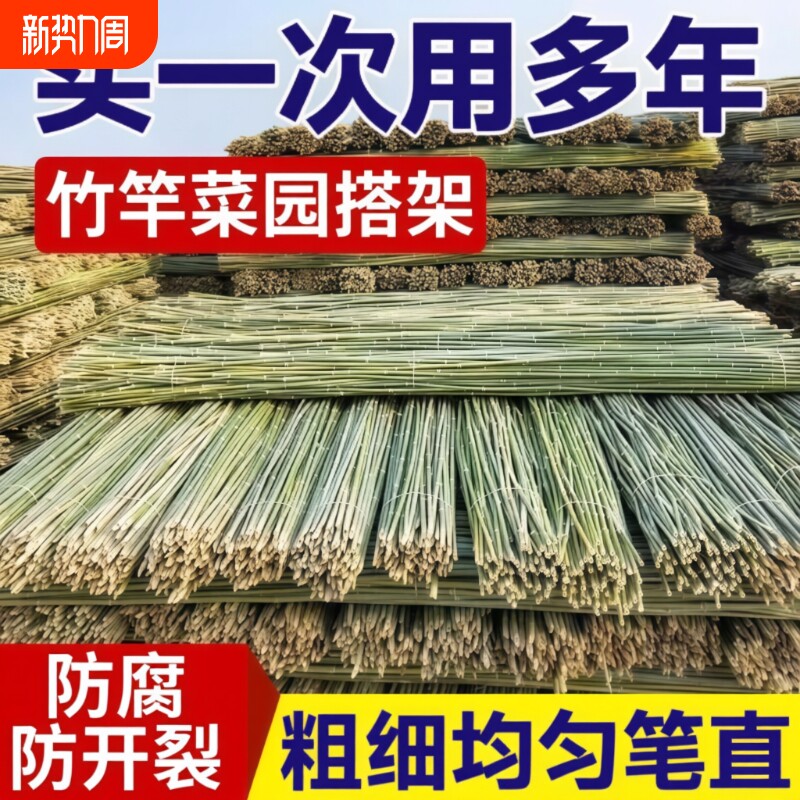 小竹杆爬藤架竹竿菜园搭架豆角支架竹篱笆栅栏彩旗竹竿子花架围栏