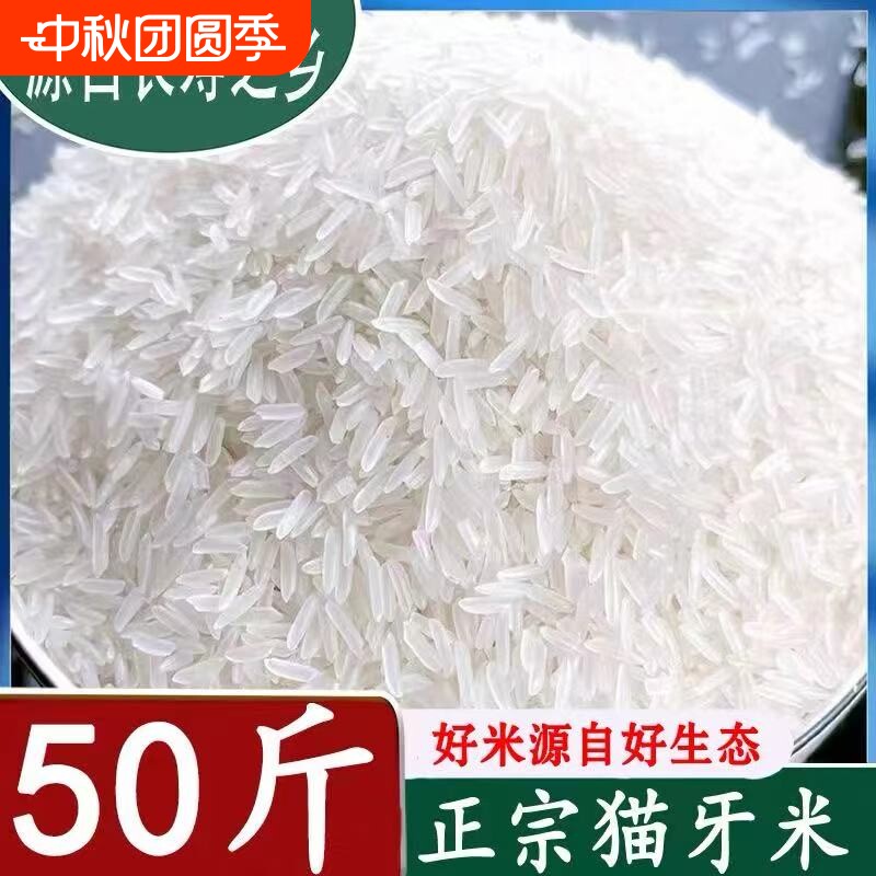 50斤丝苗米晚稻装新米当季农家10斤粘苗长粒猫牙香米大米生态优质