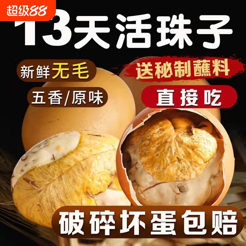 活珠子开袋即食13天麻辣毛蛋香辣味活珠熟制钢化蛋喜蛋五香新鲜