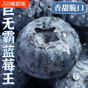 云南蓝莓顺丰包邮水果当季高山怡颗孕妇大果一颗果蔬巨无霸生鲜