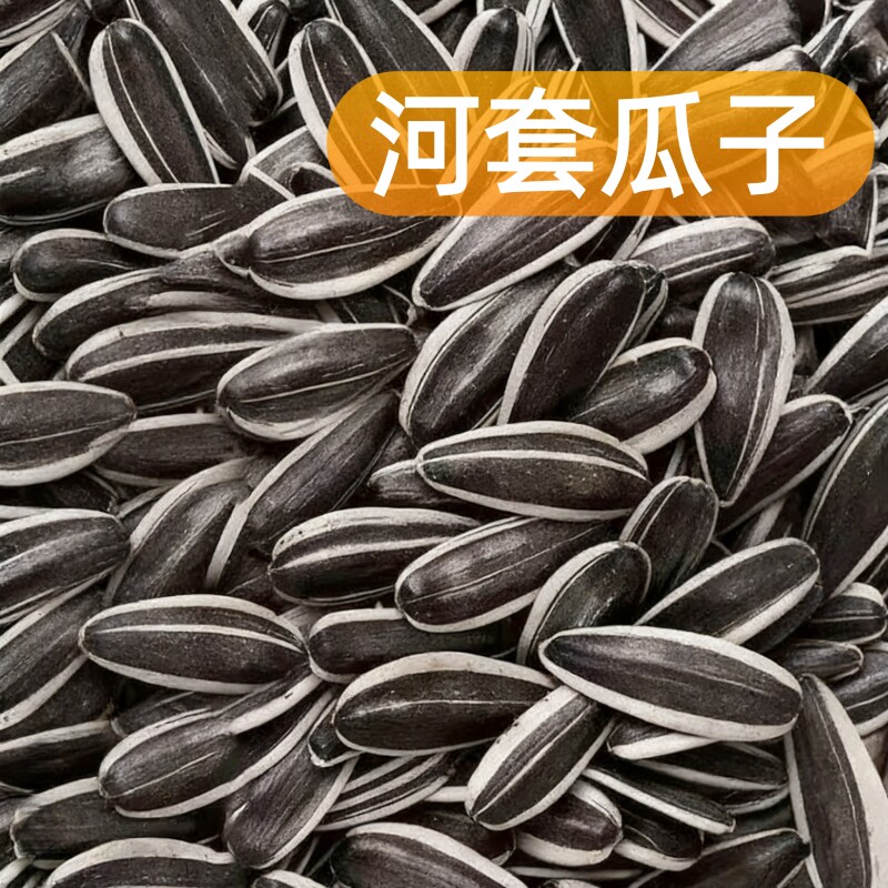 内蒙古原味炒熟葵花籽大颗粒瓜子5斤批发零食葵花子散装新货2026