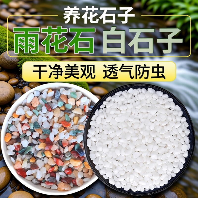 七彩石水培多肉铺面花盆垫底彩色石子白石天然养花园艺白鱼缸底砂