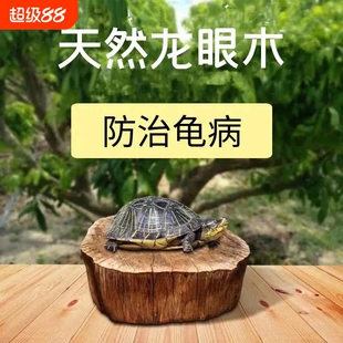 乌龟晒台龙眼木晒背台爬台沉木鱼缸造景摆件龙眼叶客厅桌面生态