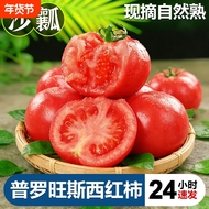 【9斤普罗旺斯钜惠】甜蜜多汁