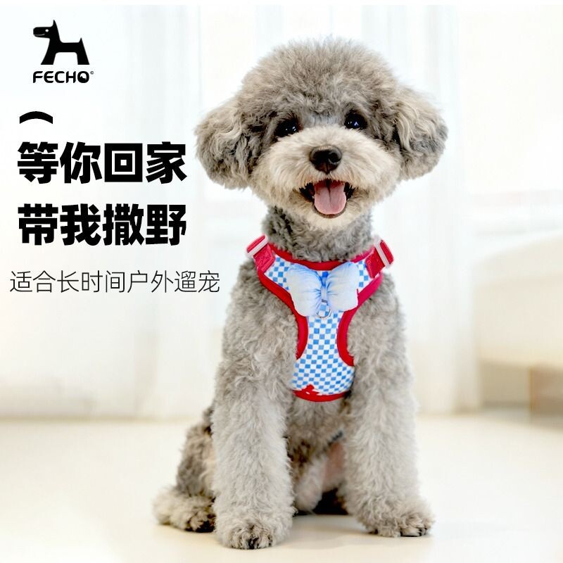 狗狗牵引绳可爱蝴蝶结宠物防咬胸背带博美雪纳瑞遛狗绳子背带出街图片