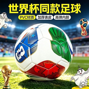 26款 世界杯足球青少年学生比赛成人训练球耐磨机缝PVC标准5号球