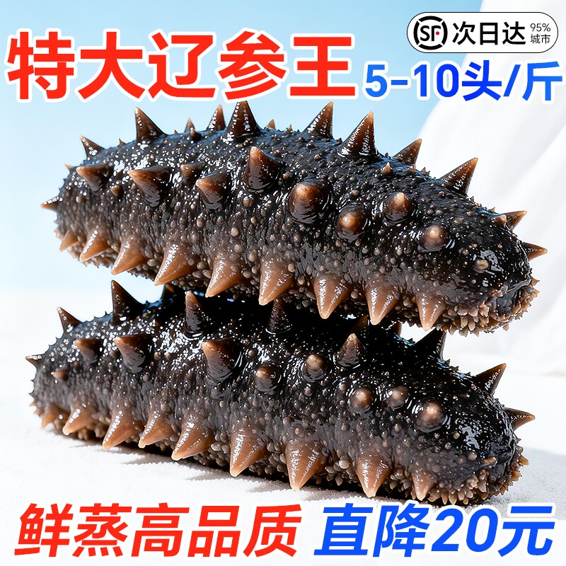 即食海参鲜活大连野生海生辽参刺参特价装非干货水产冷冻滋补