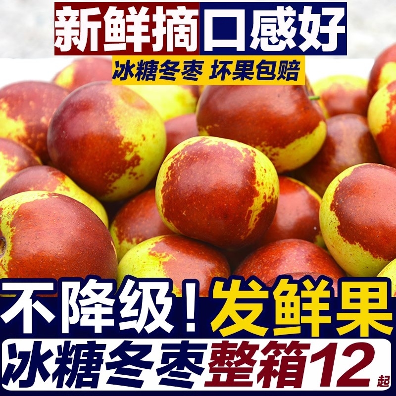 冬枣新鲜水果山东沾化当季青枣脆甜现摘现发枣子新鲜5斤整箱