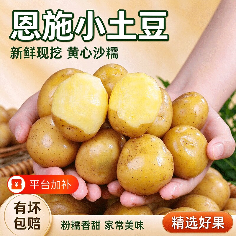 恩施黄心小土豆新鲜现挖黄心土豆小个马铃薯洋芋粉糯沙面批发9斤