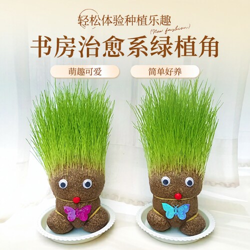 趣味长草娃娃小盆栽简单好养
