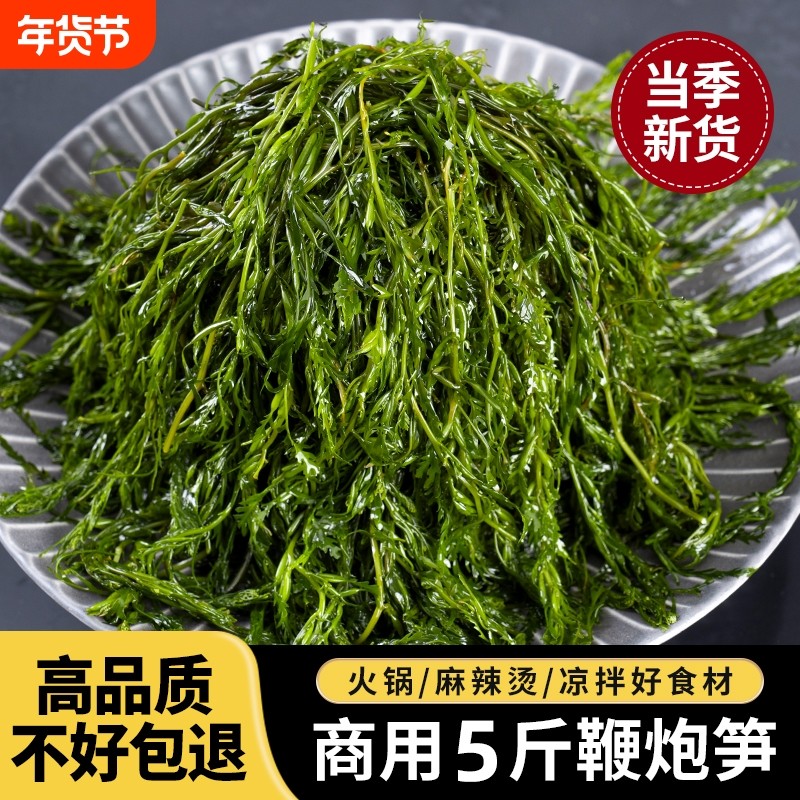 炮鞭炮笋长寿菜半干货海藻菜马尾藻海草鞭炮菜火锅食材羊栖菜凉拌
