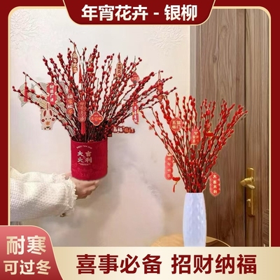 年宵花卉银柳真花鲜枝