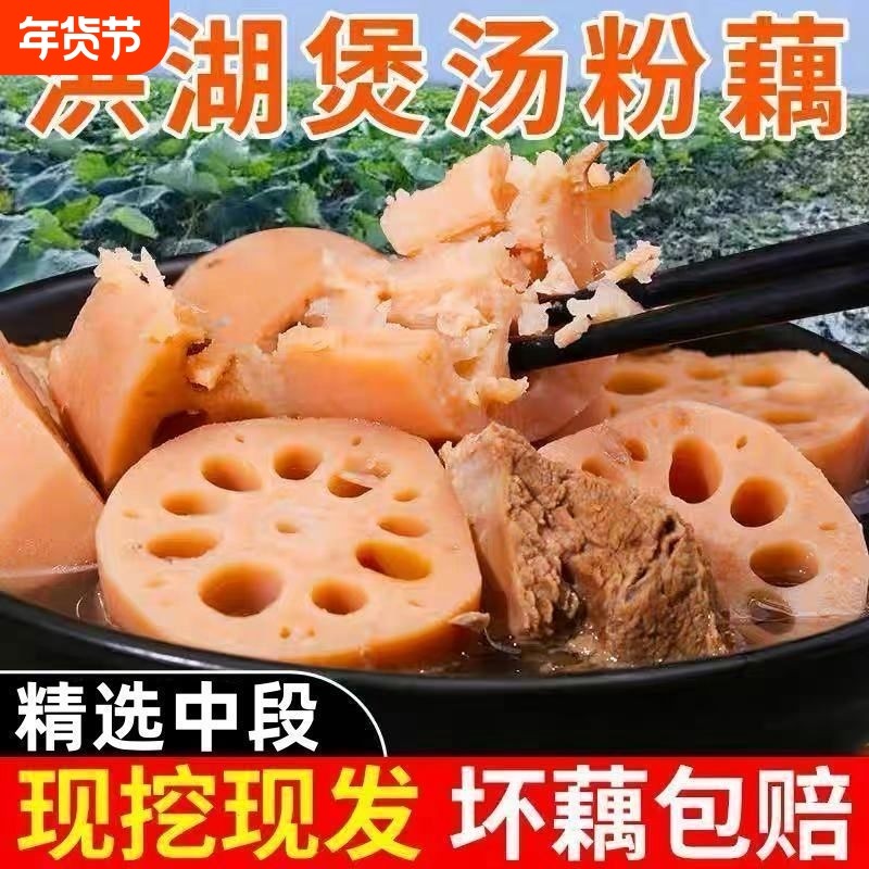 湖北洪湖莲藕新鲜煲汤粉藕现挖湖藕粉糯红藕莲菜带泥发货蔬菜批发