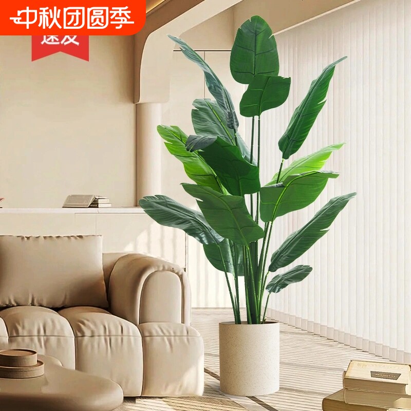 天堂鸟仿真绿植装饰|千人收藏图片