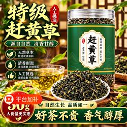 四川古蔺赶黄草肝苏中药材泡水喝养生茶护熬夜火旺正品官方旗舰店