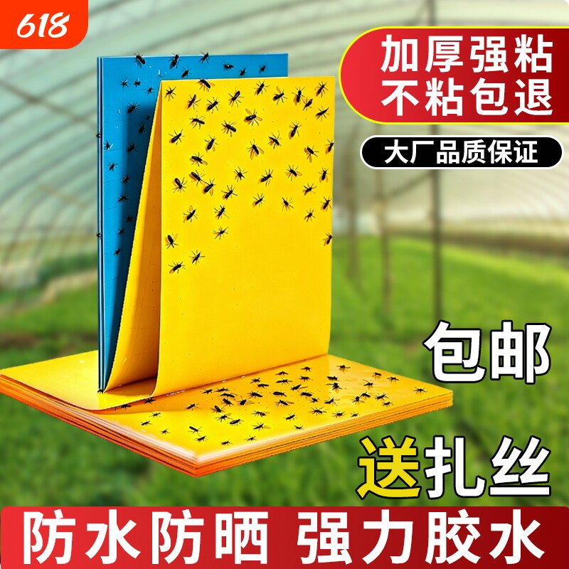 粘虫板黄板双面专用小飞虫果蝇诱捕器灭苍蝇贴强力粘蝇纸果树室外