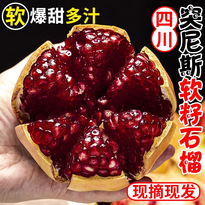 14左右四.川会.理突.尼斯软籽石榴！