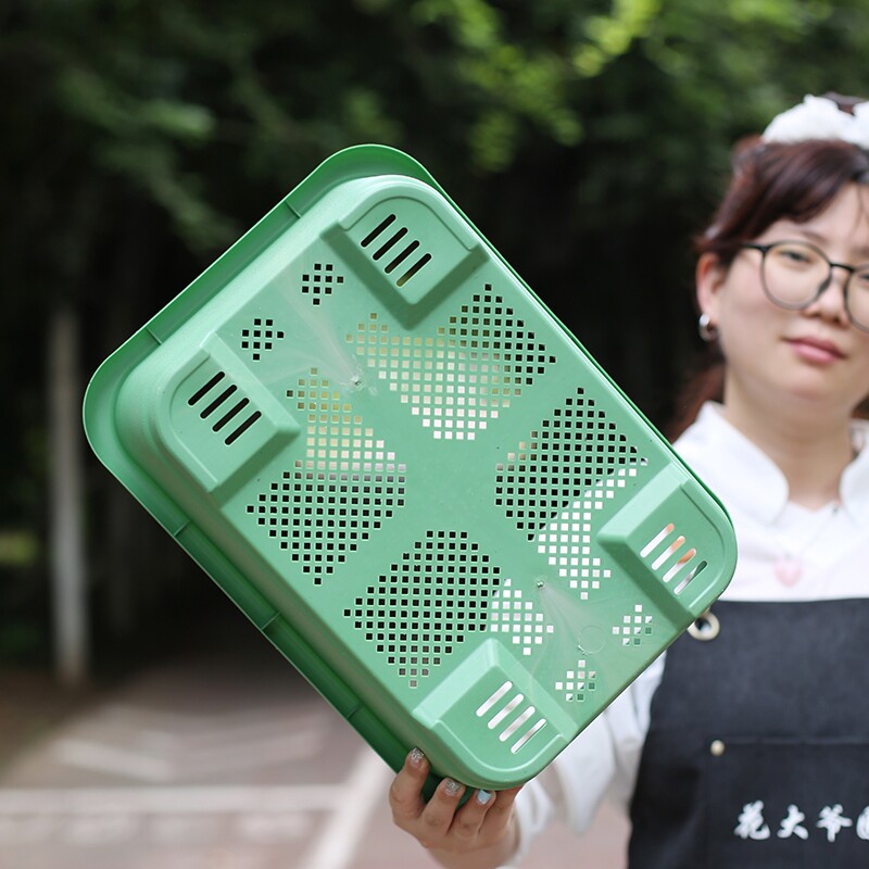 特大阳台种菜盆自吸水家用种菜专用盆长方形塑料蔬菜种植花盆托盘