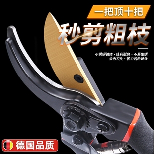 精工修剪树枝专用剪刀花木剪修枝剪刀家用果树木剪子园艺园林