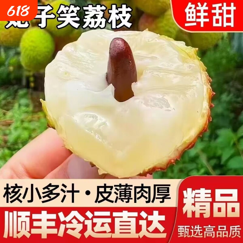 顺丰冷链直发妃子笑荔枝新鲜时令现摘现发当季老树大果整箱