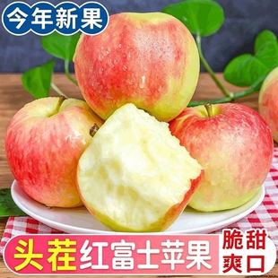 山西红富士苹果4.5斤 单果75-80
