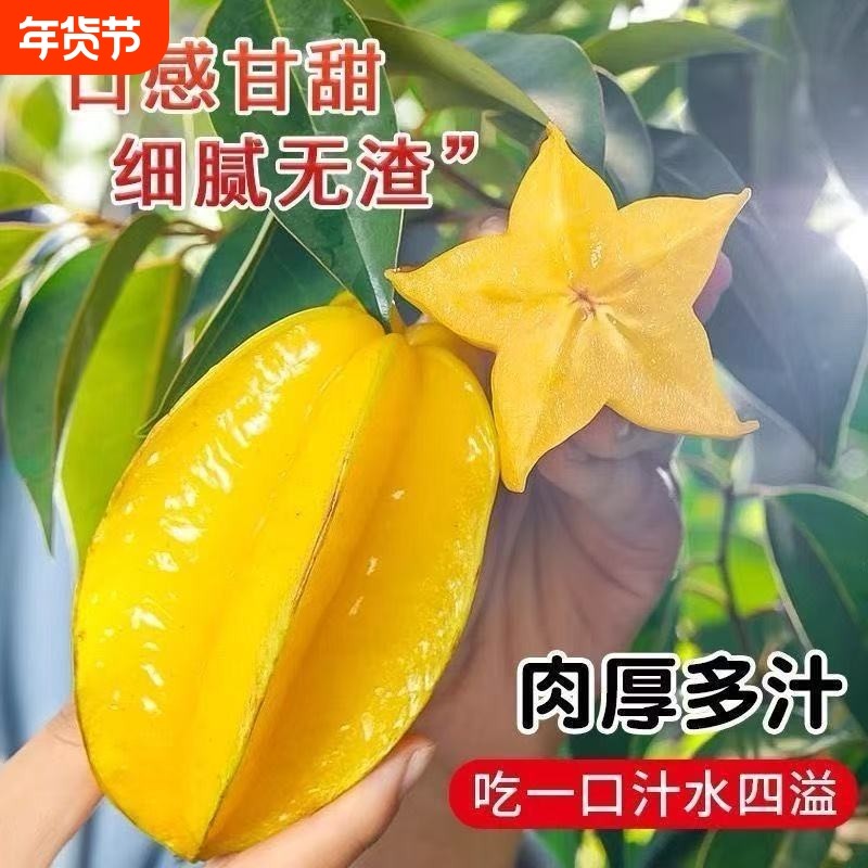 当季应季杨桃福建漳州现摘新鲜水果鲜果园直发酸甜洋桃五角星包邮,水产肉类/新鲜蔬果/熟食,杨桃,淘宝优惠券,粉丝福利购,淘宝优惠卷