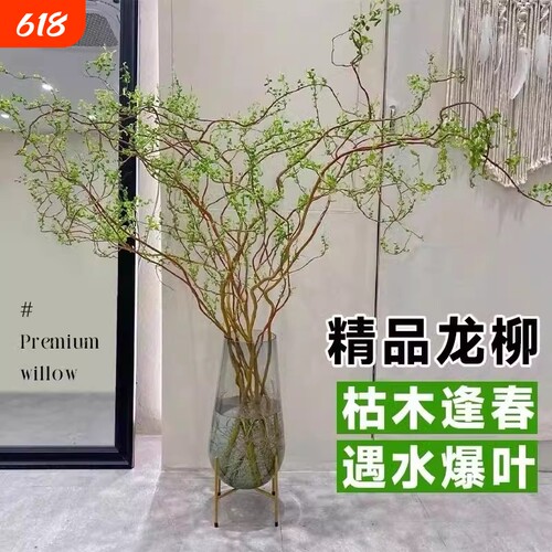 基地直销 新品特惠