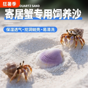 寄居蟹专用砂珊瑚沙天然垫材螃蟹海沙鱼缸造景底砂菲律宾白沙饲养