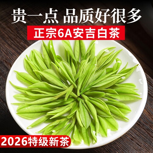 安吉白茶特级明前绿茶