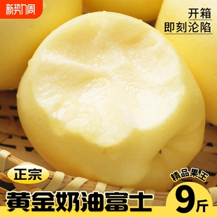 斤新鲜原产地 包邮 山东烟台黄金奶油富士苹果当季 正宗苹果9整箱