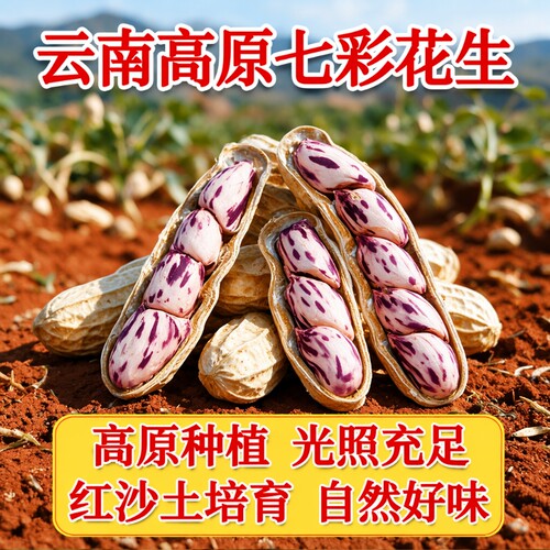 云南七彩花生新鲜带壳原味炒熟新货果仁健康特色野生大粒晒干保存