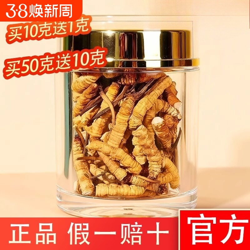 高海拔那曲特级冬虫夏草大断草新货头期干刷官方正品正宗假一赔十