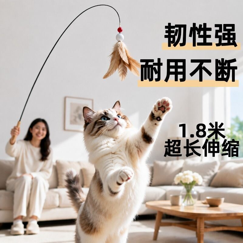 猫玩具CFA赛级逗猫棒长杆羽毛铃铛替换头耐抓咬幼猫自嗨解闷神器图片