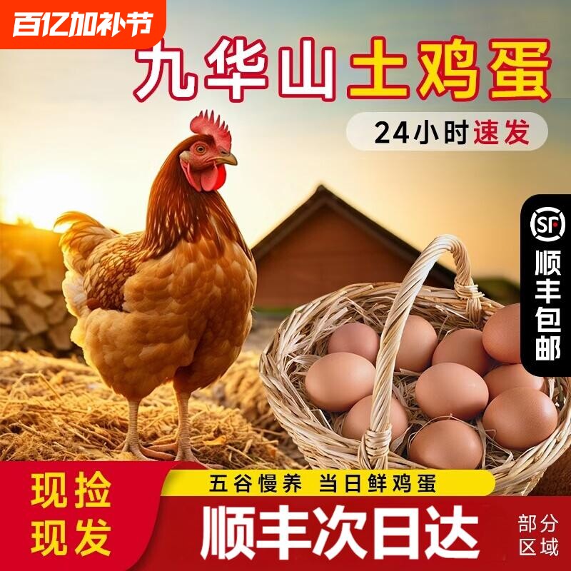 九华山皖南土鸡蛋乌鸡蛋60枚散养笨鸡蛋新鲜柴鸡蛋顺丰包邮