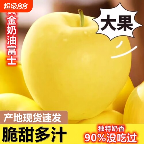 山东正宗黄金奶油富士苹果苹果脆甜奶油味新鲜孕妇水果现摘多汁