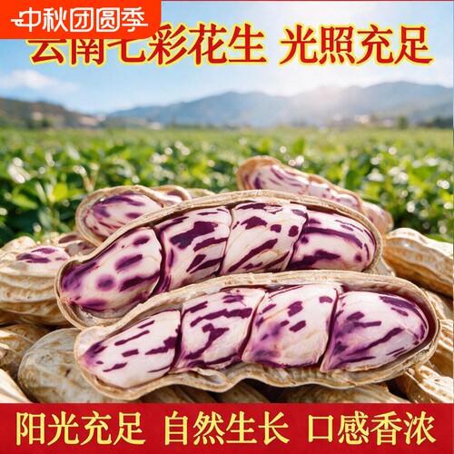 七彩花生米云南特产带壳晒干2026新货花生种粒熟原味咸干五彩花生
