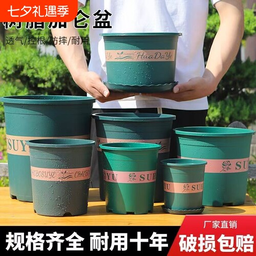 家用多肉加仑盆|回头客超2500人