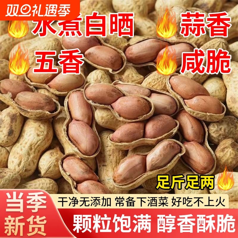 龙岩花生蒜香味五香味带壳花生米下酒菜年货解馋小零食炒货特产