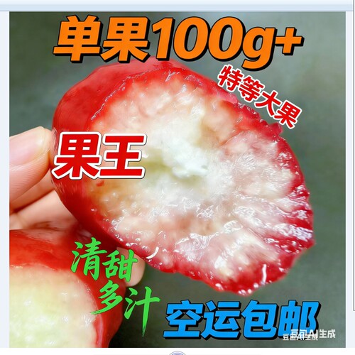 莲雾