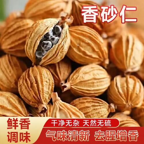 香砂仁川砂仁中药材官方旗舰店干净卤肉炖肉沙仁烧菜卤肉料家用