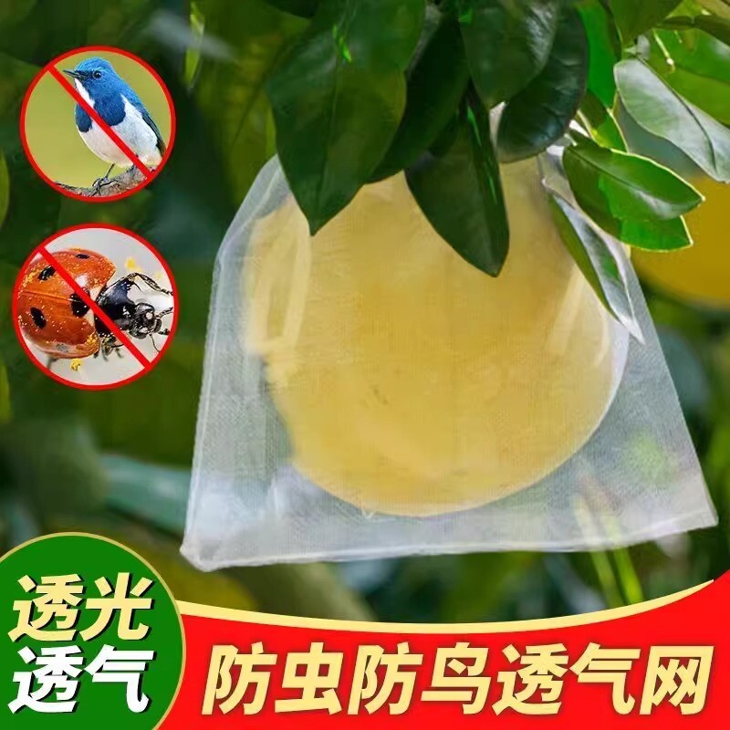 水果套袋无花果草莓葡萄专用袋防虫防鸟网袋石榴桃子西瓜番茄果子