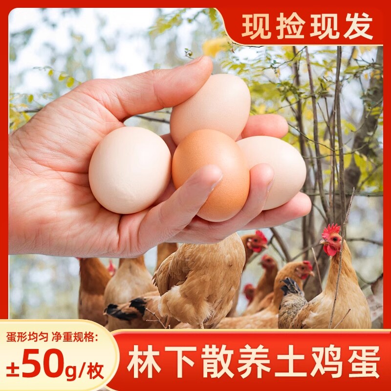农家散养土鸡蛋正宗湖北大别山林下谷物喂养鲜鸡蛋农场直发鸡蛋