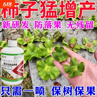 柿子树保花保果专用药柿子卷叶病炭疽圆斑病防落果裂果增产叶面肥