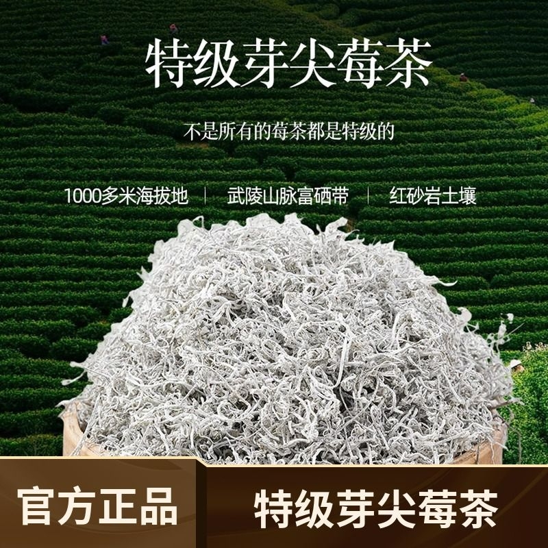 正宗张家界莓茶官方旗舰店特级芽尖新茶野生龙须藤茶养生正品莓茶